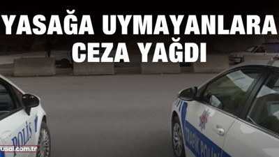 Yasağa uymayanlara ceza yağdı