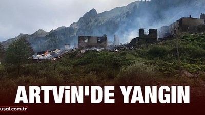 Artvin'de yangın