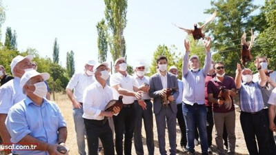 Tokat'ta 'kene avcısı' bin keklik ve sülün doğaya salındı