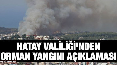 Hatay Valiliği'nden orman yangını açıklaması