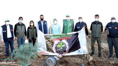 Binlerce fidan toprakla buluştu
