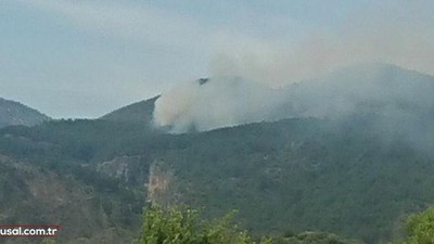 Muğla'nın Ortaca ilçesinde korkutan orman yangını