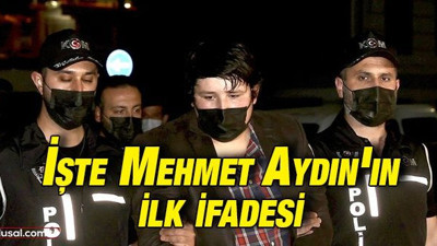 'Tosuncuk' lakaplı Mehmet Aydın ifadesine ulaşıldı: Neden teslim oldu? "Çiftlik Bank" olayı nasıl gerçekleşti?