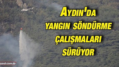 Aydın'daki orman yangını: Ekiplerin müdahalesi devam ediyor