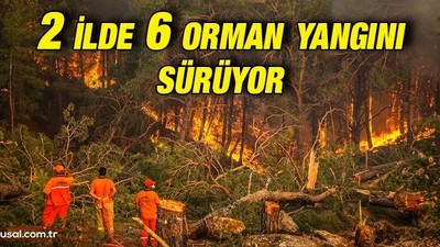 2 ilde 6 orman yangını sürüyor