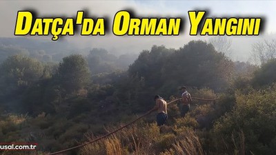Datça'da orman yangını