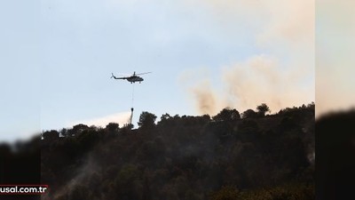 Ankara Çubuk'ta orman yangını