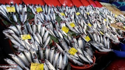 Pazardaki balık fiyatlarında son durum