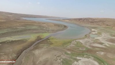 Kuraklık Adana'yı da etkisi altına aldı