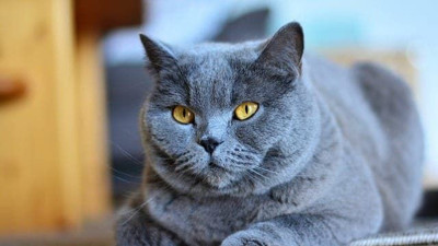 Batı Rusya'ya karşı bunu da yaptı!