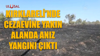 Cezaevine yakın alanda anız yangını çıktı