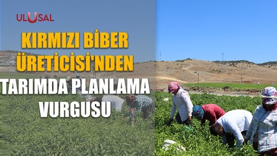 Kırmızı biber üreticisi'nden tarımda planlama vurgusu