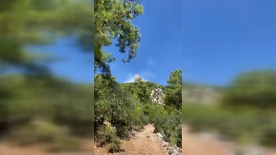Muğla'da orman yangını