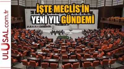 İşte Meclis'in yeni yıl gündemi
