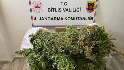 Bitlis’te Hint keneviri ele geçirildi