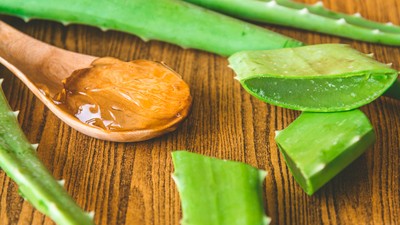 Yaşlanma belirtilerini 10 dakikada yok eden doğal karışım nasıl hazırlanır? Aloe vera ne işe yarar nasıl kullanılır?