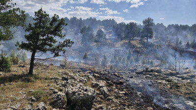 Mersin'de orman yangını! Ekipler tarafından müdahale edildi