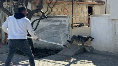 Karaman’da köpek saldırısı: Baba, oğlunu kurtarmaya çalışırken yaralandı