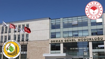 Orman Bölge Müdürlüğü 8 bin 500 personel alımı yapacak: Kadro ve branş dağılımı belli oldu, Başvuru şartları neler