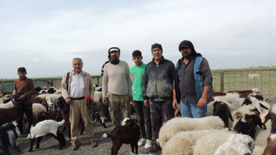 Hayvanlarını otlatacak bir metre meraları kalmadı