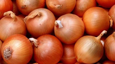 Tarlada 1 lira: Üretici isyan etti, vatandaşa bedava dağıttı