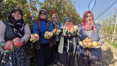 Elma bu yıl cep yakacak: Karaman’da rekolte yüzde 90 düştü