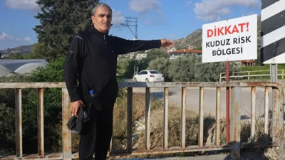 4 mahallede kuduz alarmı! Köpek korkusu hayatı durma noktasına getirdi