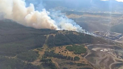 İzmir'de orman yangını: Söndürme çalışmaları sürüyor