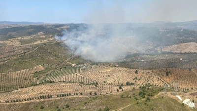 İzmir'de orman yangını: Müdahale sürüyor