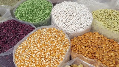 Güneydoğu’dan ihracat atağı: 5 ayda 1,5 milyar dolarlık hububat yurt dışına gönderildi