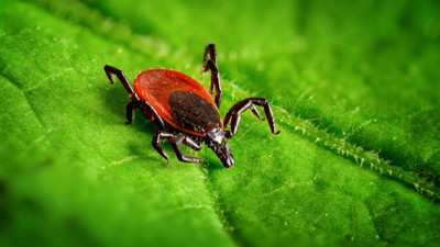 Kenelerin gizli hedefi: O kan grubuna sahip olanlar dikkat!