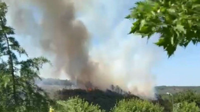 İstanbul'da Kent Ormanı’nda yangın çıktı: Müdahale sürüyor!