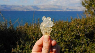 Kilosu 15 bin TL! Dünyada başka yerde yok