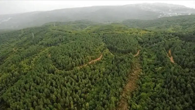 Şanlıurfa Valiliği ormanlara girişleri yasakladı: Ateşli piknikler 31 Ekim’e kadar yasak