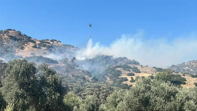 Aydın Efeler’de otluk ve zeytinlik alanda yangın! 2 kişi gözaltına alındı