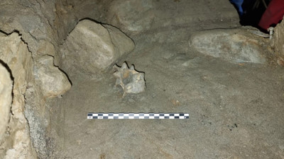 Norveç’te 75 bin yıllık hayvan kemikleri bulundu: Arktik’in en eski yaban hayatı