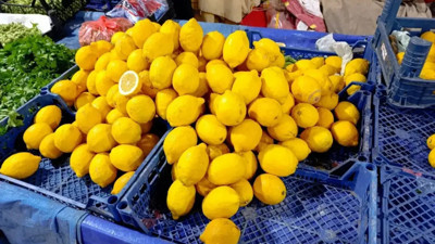 Zamların yıldızı limon oldu! “Bundan sonra düğünlerde limon takılır.”