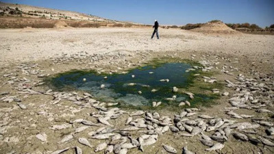 81 il için kuraklık raporu: Hangi bölgeler alarm veriyor?