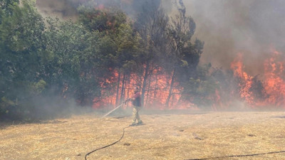 Çanakkale’de orman yangını! Alevler rüzgarla büyüyor