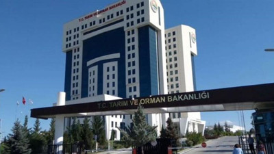 Bu karar milyonları ilgilendiriyor: Boşsa devlet kiraya verecek! Tarih belli oldu