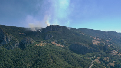 Sinop’ta orman yangını: 22 hektar kül oldu, köy tahliye edildi
