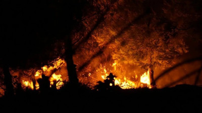 Orman yangınları ekonomiyi de kül etti: Dev kayıp dudak uçuklattı