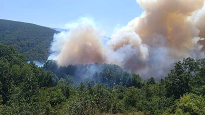 Kocaeli'de orman yangını paniği: Havadan ve karadan müdahale sürüyor
