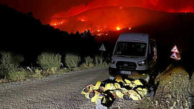 Mersin'de 15 bin dönümlük alan kül oldu: İşte yangının çıkış nedeni