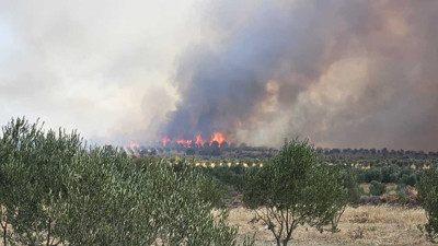 Gelibolu'da yangın durdurulamıyor! Binlerce kişi tahliye edildi, alevler tarihi alanı kuşattı