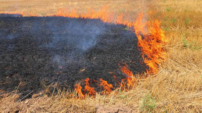 Uzmanlar uyardı: Anız yakmak toprağı öldürüyor