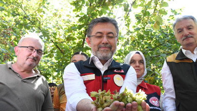 Bakan Yumaklı fındık hasadında! “Zirai don zararlarına tazminat ödenecek”