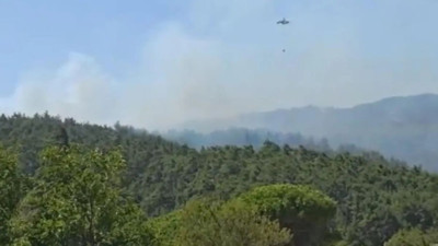 Gelibolu’da orman yangını: Ekipler müdahale ediyor