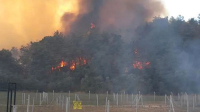 İzmir Menderes’te büyük yangın: Alevler ormana sıçradı, müdahale sürüyor