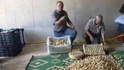 İncir üreticisi tepkili: Emeklerinin karşılığı yine yok sayıldı